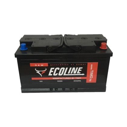 ECOLINE 12V 100AH 800A R+