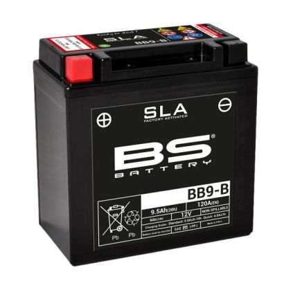 BS Battery BB9-B SLA 12V 9.5AH 120A L+