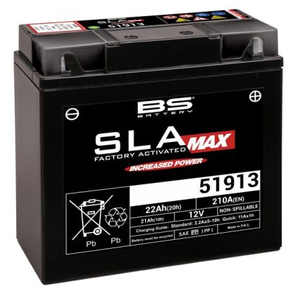 BS BATTERY 51913 SLA 12V 22AH 275A R+